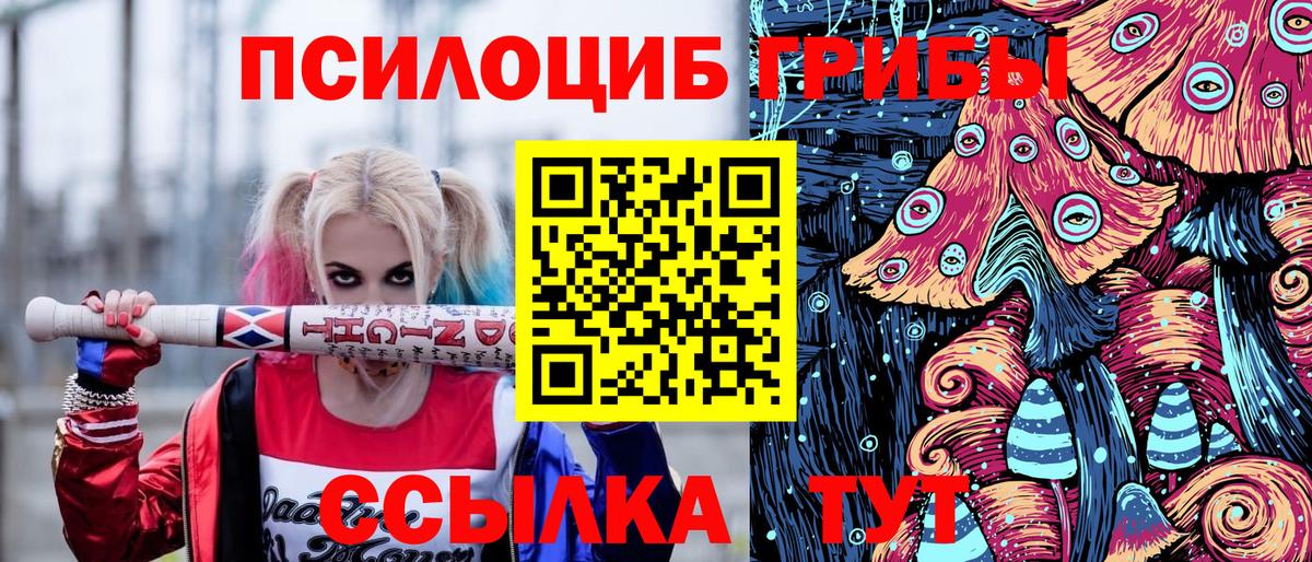 Псилоцибиновые грибы прущие грибы  Вход с VPN  Семилуки  Псилоцибиновые грибы MAGIC MUSHROOMS 